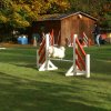 agility 2011-10-30